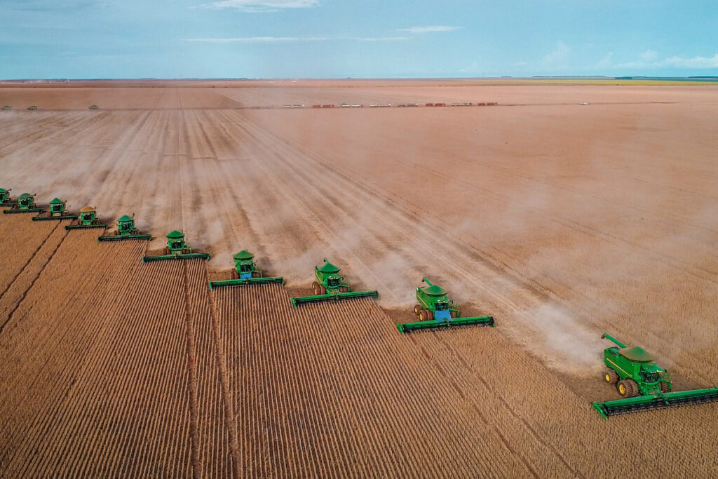 Lourencolf Shutterstock