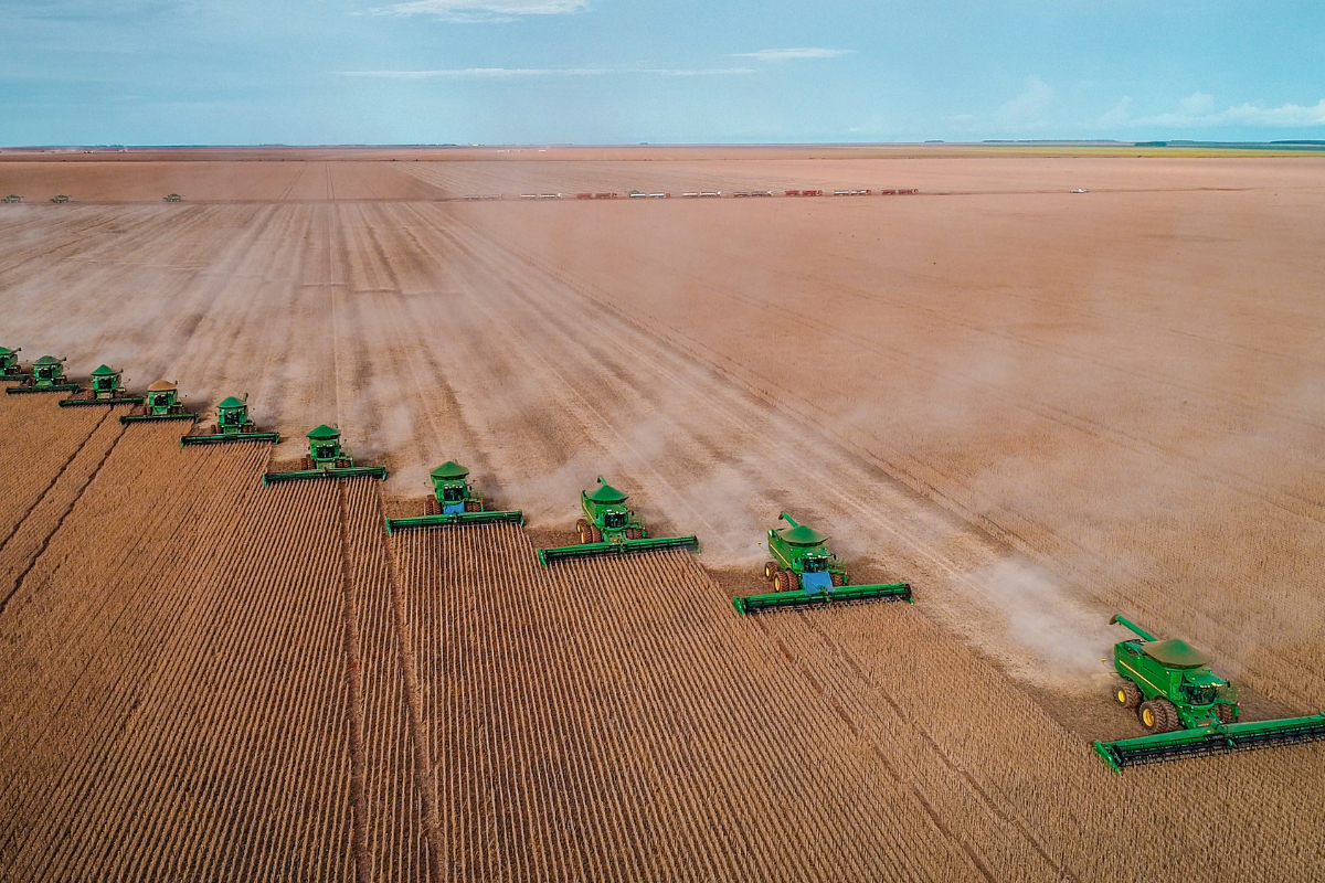 Lourencolf Shutterstock