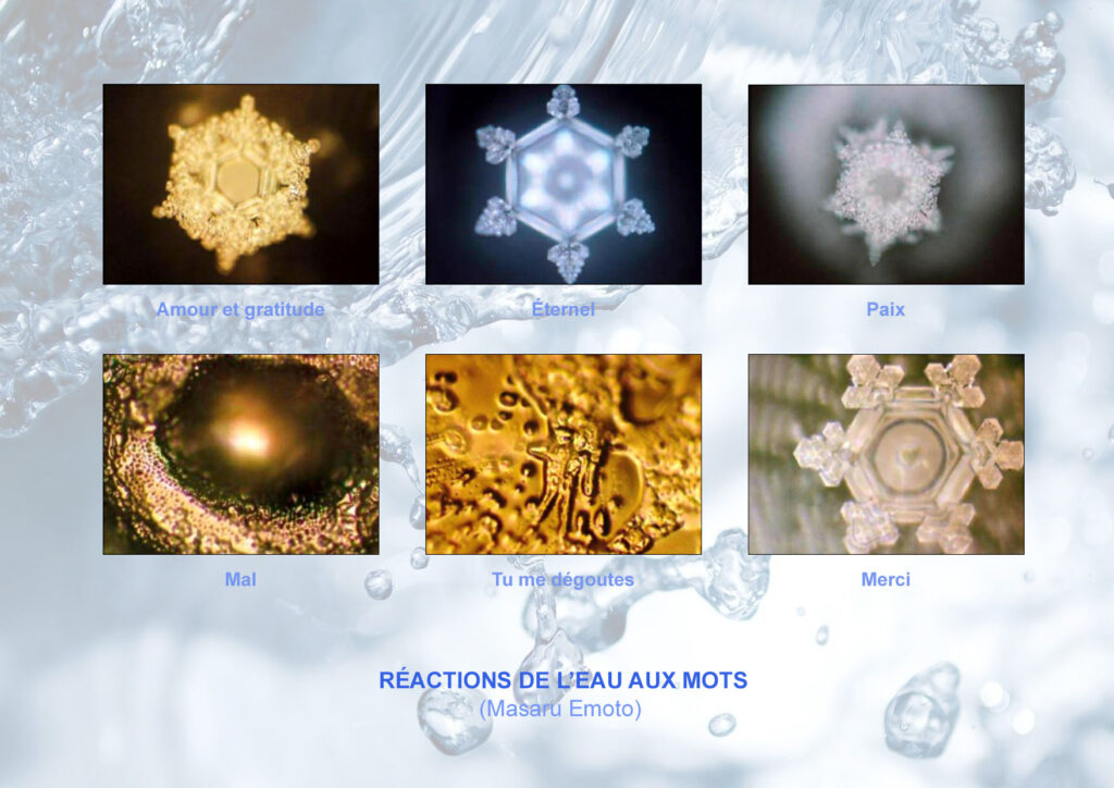 Les messages de l'eau - Masaru Emoto