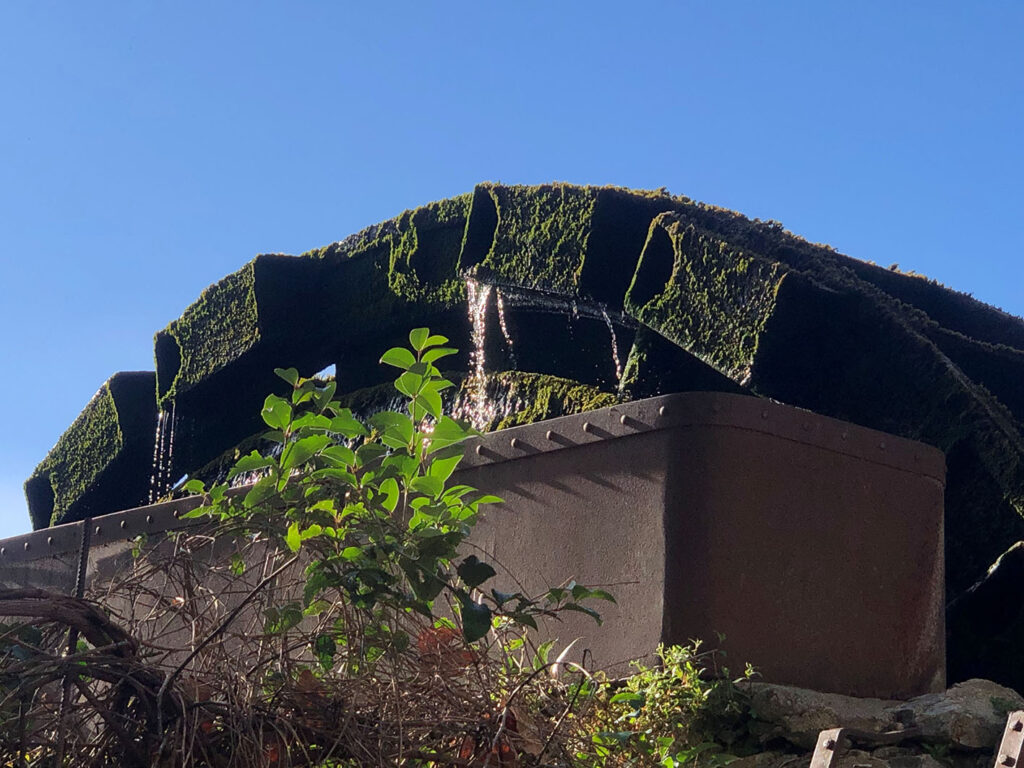 Godets de meuse - Cazilhac