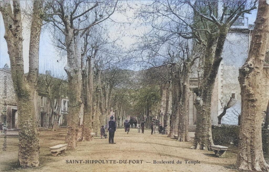 La promenade vers 1900