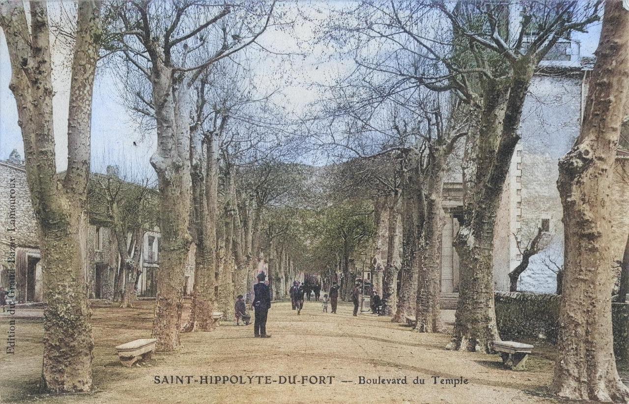 La promenade vers 1900