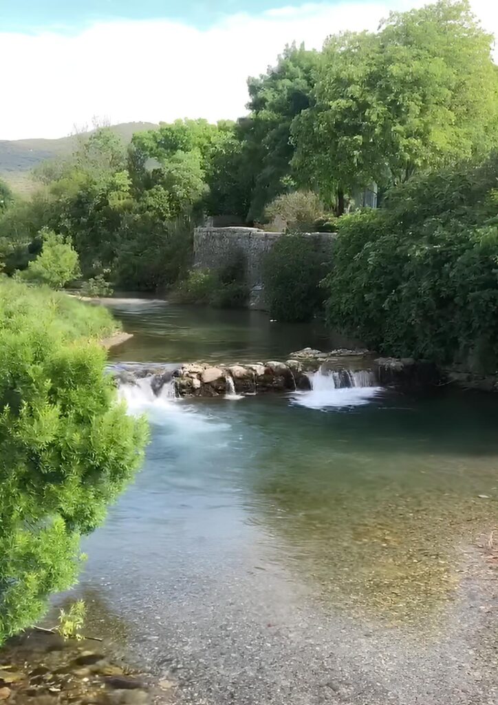 La pansière du mas des Jardins