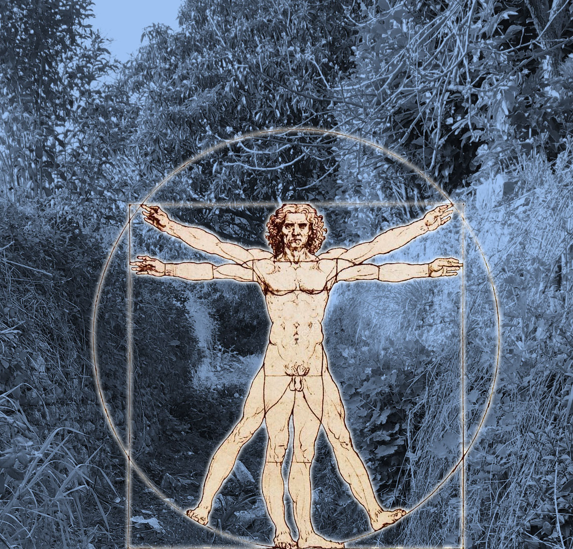 L'Agal avant le siphon de l'Argentesse