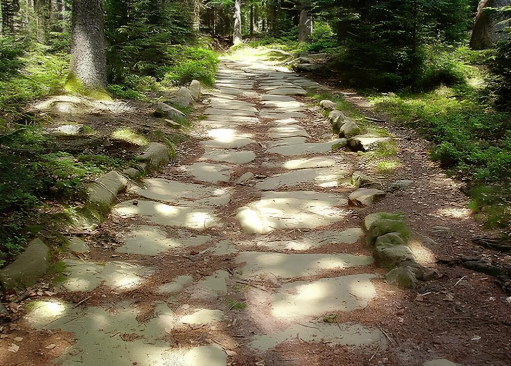 Une route romaine (Crédits photographiques : Philippe Saint-Marc).