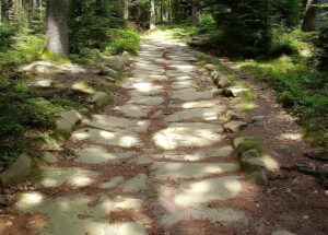 Une route romaine (Crédits photographiques : Philippe Saint-Marc).